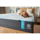  Size_Split California King  -- Tempur-LuxeBreeze® Medium Hybrid Mattress (Split California King) IMAGE 13