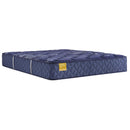  Size_California King  -- Remmington Medium Tight Top Mattress (California King) IMAGE 1