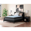  Size_California King  -- Destin Cove PT M33251 California King Mattress IMAGE 3