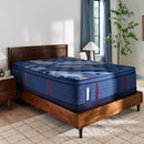  Sealy Brenham II Euro Pillow Top Firm Mattress (Twin XL) IMAGE 1