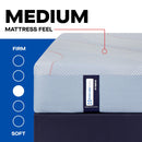  Size_Split California King  --  Medina II Medium Mattress (Split California King) IMAGE 2