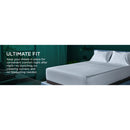  Tempur-Pedic TEMPUR-Adapt Luxe Egyptian Cotton Sheets - Graphite (Twin) IMAGE 3