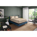  Tempur-Pedic TEMPUR-Adapt Luxe Egyptian Cotton Sheets - Sandstone (King) IMAGE 1